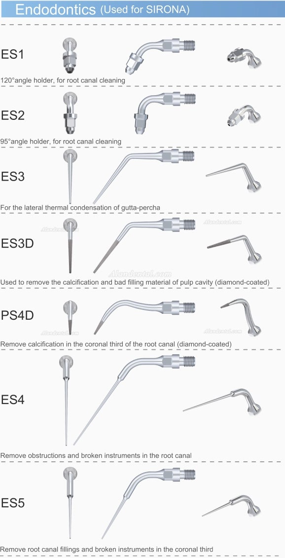 5Pcs Woodpecker ES1 120° Endodontics Tip Files Holder For SIRONA Scaler